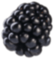 Blackberry accent graphic