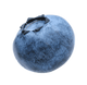 Blueberry accent graphic